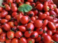 Gromadzone dziko róże, bogate w witaminę C, wyglądają jak małe, czerwone klejnoty.