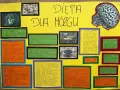 Dieta dla mózgu jadłospis: ryby, orzechy, jagody, warzywa wspierają pamięć i koncentrację. Woda kluczowa dla funkcji mózgu.