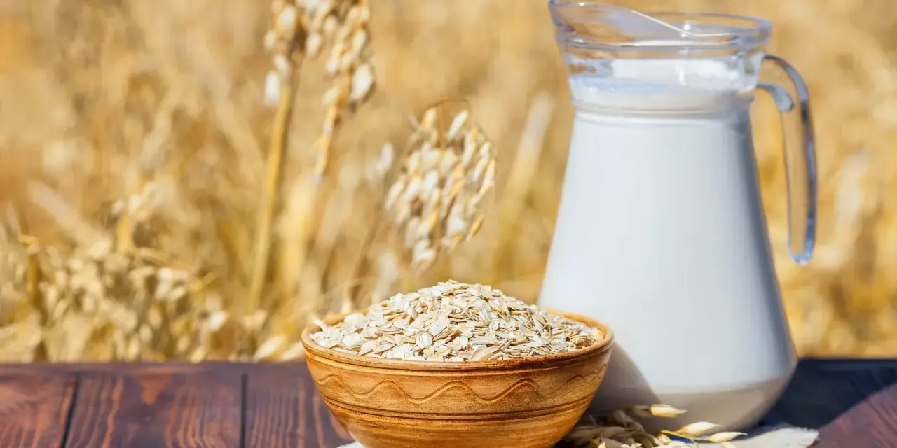 Mleko owsiane w dzbanku i miska płatków owsianych na tle łanu zbóż. Czy mleko owsiane ma gluten? Pytanie, które nurtuje wielu.