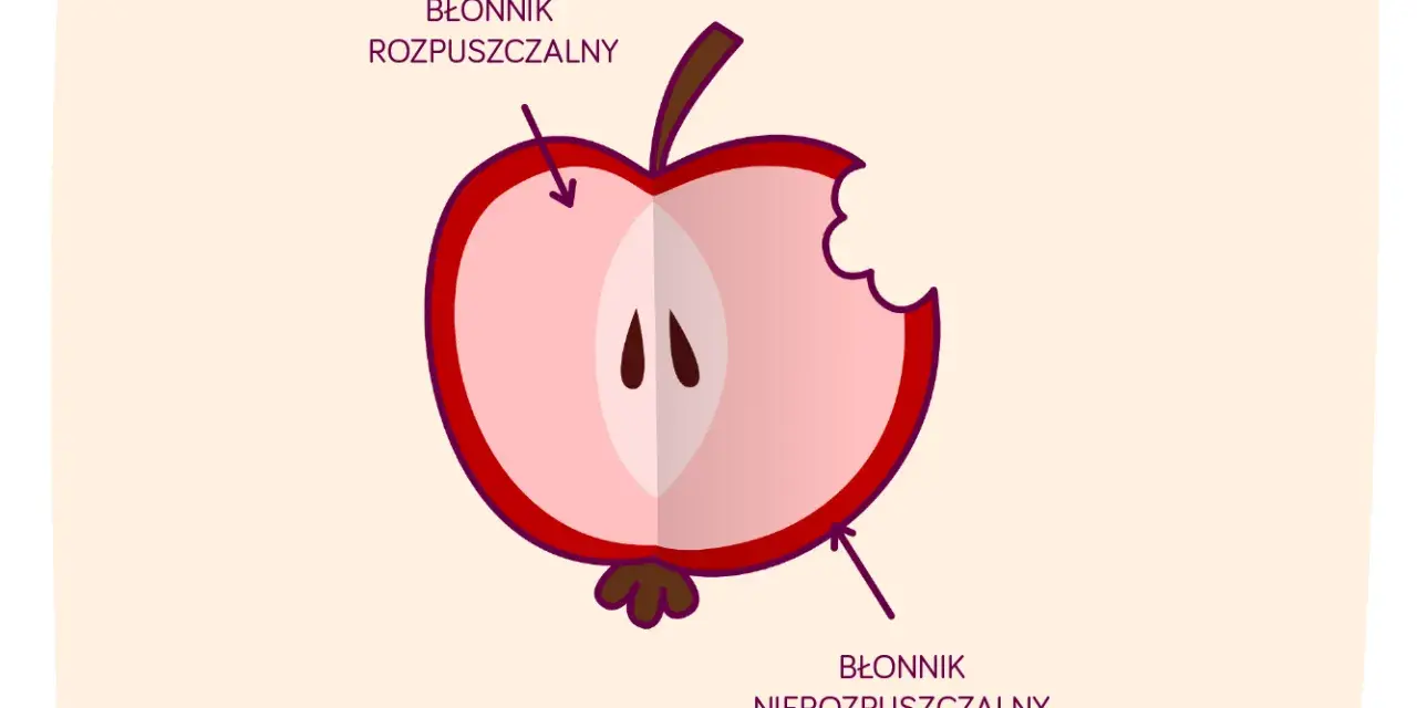 Połówka jabłka z widocznym miąższem i pestkami. Strzałki wskazują, gdzie znajduje się błonnik rozpuszczalny i nierozpuszczalny.