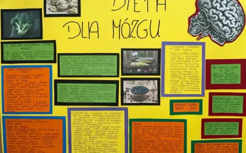 Dieta dla mózgu jadłospis: ryby, orzechy, jagody, warzywa wspierają pamięć i koncentrację. Woda kluczowa dla funkcji mózgu.
