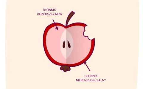 Połówka jabłka z widocznym miąższem i pestkami. Strzałki wskazują, gdzie znajduje się błonnik rozpuszczalny i nierozpuszczalny.