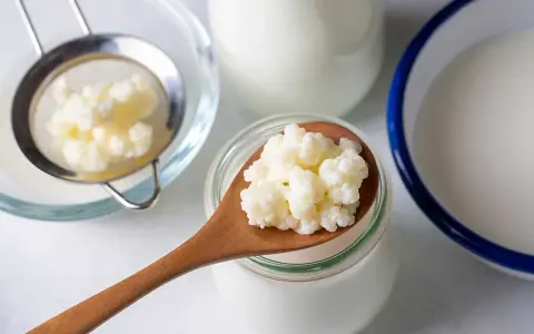 Kefir na kaca to naturalny sposób na regenerację. Ziarna kefirowe na łyżce, sitko i naczynia z mlekiem sugerują domową produkcję.