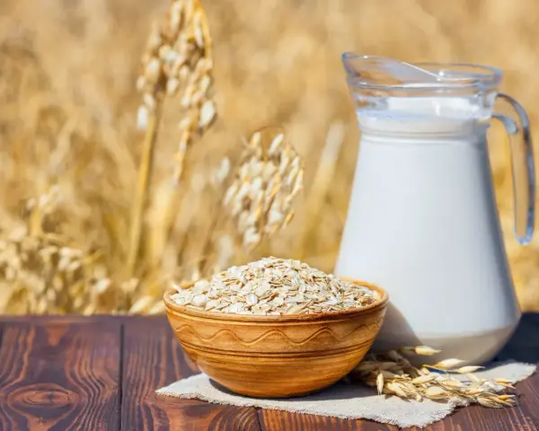 Mleko owsiane w dzbanku i miska płatków owsianych na tle łanu zbóż. Czy mleko owsiane ma gluten? Pytanie, które nurtuje wielu.