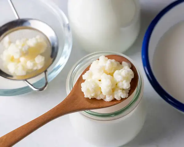 Kefir na kaca to naturalny sposób na regenerację. Ziarna kefirowe na łyżce, sitko i naczynia z mlekiem sugerują domową produkcję.