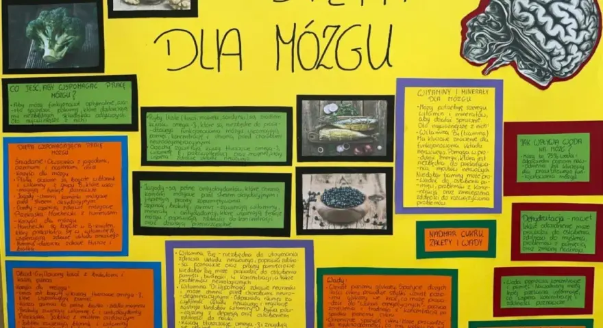 Dieta dla mózgu jadłospis: ryby, orzechy, jagody, warzywa wspierają pamięć i koncentrację. Woda kluczowa dla funkcji mózgu.