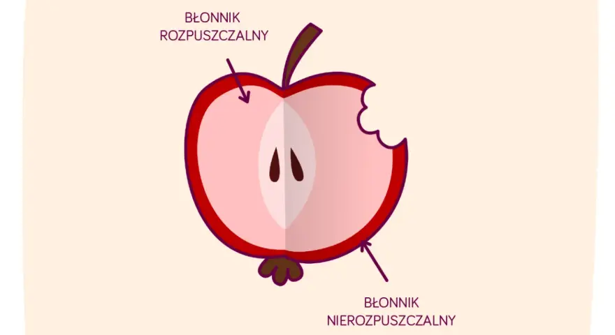 Połówka jabłka z widocznym miąższem i pestkami. Strzałki wskazują, gdzie znajduje się błonnik rozpuszczalny i nierozpuszczalny.
