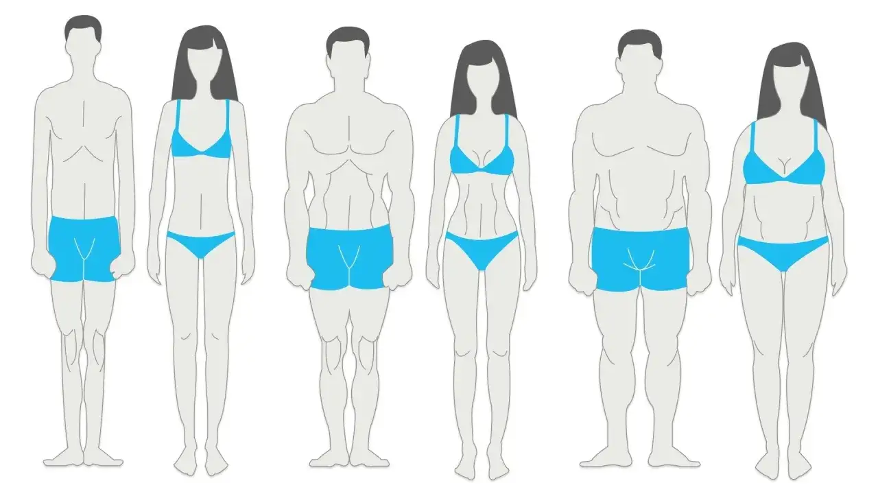 Ilustracja przedstawia r&oacute;żne typy budowy ciała: szczupłą, umięśnioną i krągłą, zar&oacute;wno u mężczyzn, jak i kobiet.