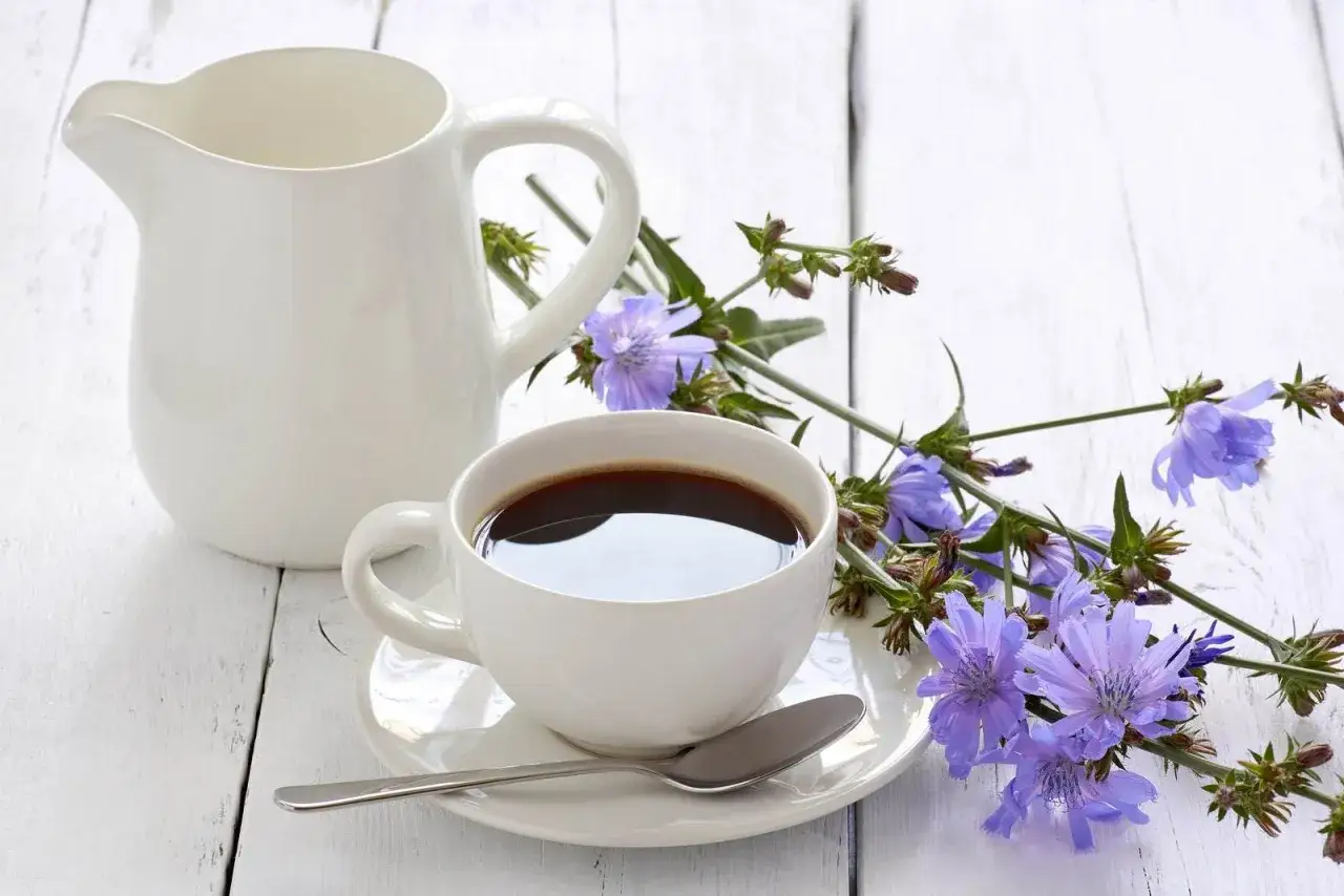 Kawa inka, z cykorią, jest zdrowa. Filiżanka kawy, dzbanek i kwiaty cykorii na białym tle.